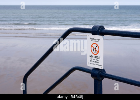 Warnung-Wanderer, die keine Hunde am Strand Filey East Yorkshire England dürfen zu unterzeichnen Stockfoto