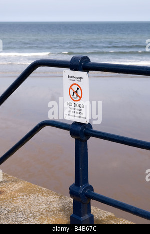 Warnung-Wanderer, die keine Hunde am Strand Filey East Yorkshire England dürfen zu unterzeichnen Stockfoto