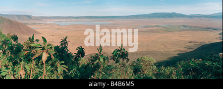 2 Bild Stich Panoramablick auf den Ngorongoro Crater in Tansania. Stockfoto