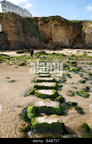 Trittsteine über einen Bach Dünenwanderungen Sands Beach in Perranporth, Cornwall UK. Stockfoto