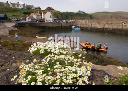 Taucher nach ein Tauchgang im St. Abbs Hafen St. Abbs Berwickshire Schottland zu verlassen Stockfoto