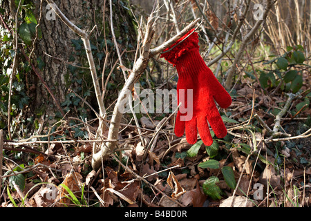 Ein verlorener roten Handschuh fiel auf einen Pfad in Clowes Wood, Chestfield, Kent hängt an einem Zweig im Falle seines Besitzers kehrt zurück, um zu suchen. Stockfoto