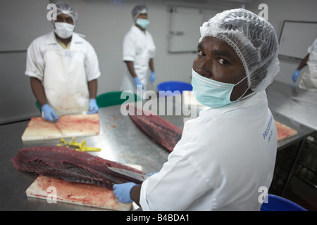 Ex-Tsunami Fischer Metzger Gelbflossenthun Fisch werksseitig Cyprea Marine Lebensmittel EU-Norm bei Himmafushi Republik Malediven Stockfoto