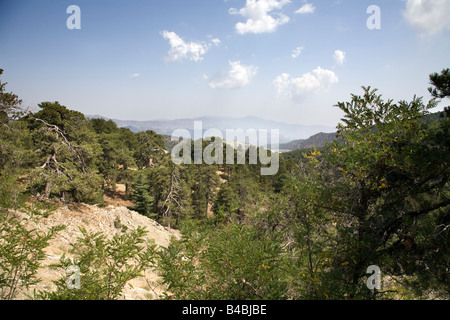 Troodos National Forest Park liegt im Zentrum der Insel etwa eine Autostunde von Limassol Stockfoto