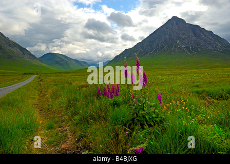 Blick nach unten Glen Etive in Richtung Stob Dubh, Glencoe, West Highlands, Schottland, UK Stockfoto