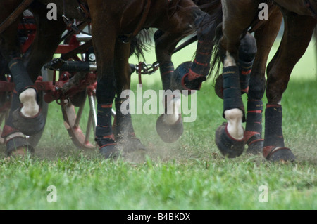 Ziehen von Karren im Endurance Team kombiniert treibende Wettbewerb Stockfoto