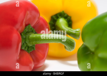 Auswahl der Paprikas Stockfoto