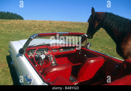 Auto, Ford Mustang, Cabrio, Baujahr 1965, weiß, Jahrgang ca. 60er Jahre, Innenansicht, Innenansicht, Cockpit, mit ho Stockfoto