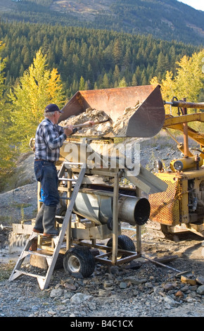 Prospector schaufeln Schmutz von einem Traktor in einem modifizierten Waschstation. Stockfoto