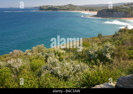 Blick vom Bilgola Aussichtspunkt Blick nach Süden in Richtung Sydney und zeigt Bilgola und Newport Strand, Australien Stockfoto