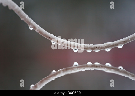 Regentropfen auf Kabel Stockfoto