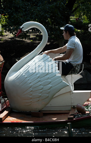 Nahaufnahme eines Swan Boat-Treibers, der paddeln Passagiere rund um die öffentlichen Garten Lagune in Boston Common ist Stockfoto