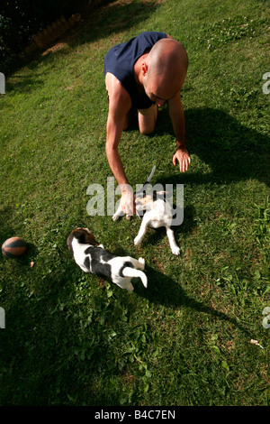 Junge mit seinen Hunden (Beagle) im Garten spielen. Stockfoto