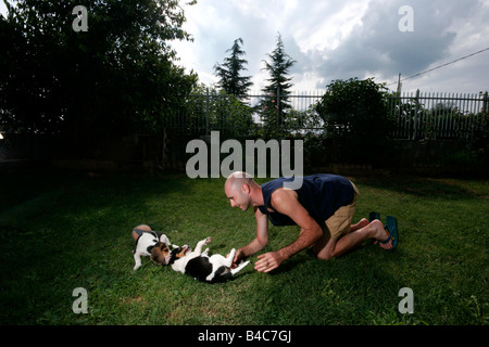 Junge mit seinen Hunden (Beagle) im Garten spielen. Stockfoto