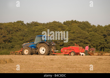 Ein Landwirt Ballen Stroh ein Herbstabend im Vale von Glamorgan Wales Stockfoto