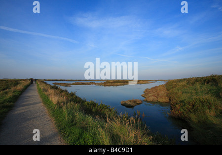 Das RSPB Naturschutzgebiet am Titchwell Marsh in Norfolk, England. Stockfoto