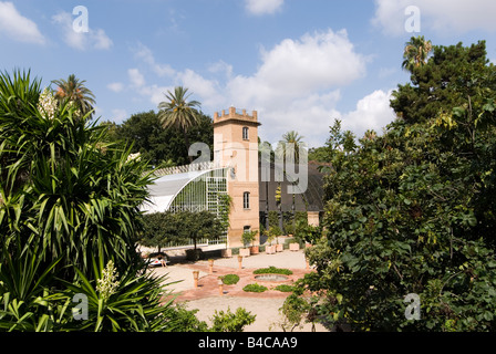 Gewächshaus im Botanischen Garten oder botanischen Jardi in Valencia, Spanien Stockfoto