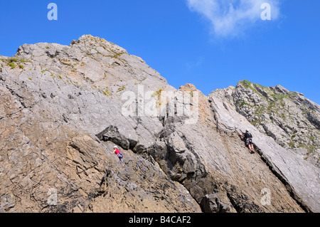 Kletterer an drei Klippen Bucht Gower Glamorgan Wales Stockfoto