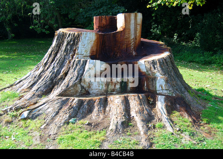 Baumstumpf geschnitten, Sitz, Missenden Abbey, Great Missenden, Buckinghamshire, England, Vereinigtes Königreich Stockfoto