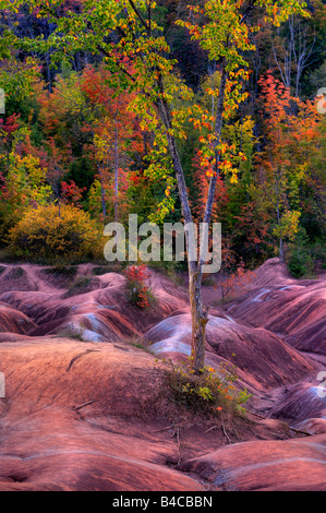 Schöne bunte Herbst Landschaft Stockfoto