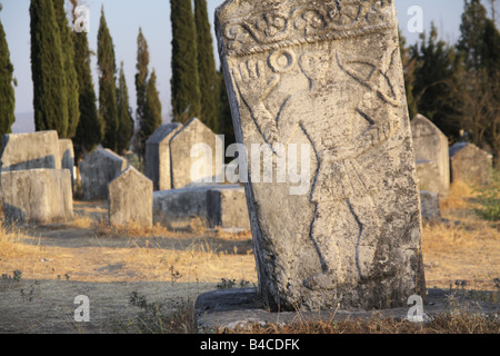 Radimlja Nekropole, Bosnien und Herzegowina Stockfoto