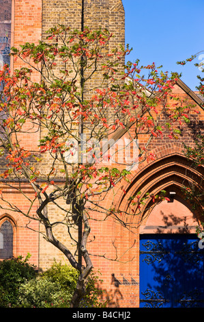 St Matthew s Kirche Ealing W5 London Vereinigtes Königreich Stockfoto