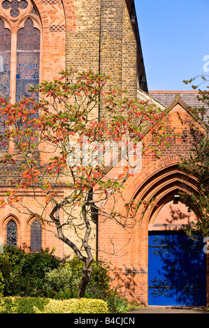 St Matthew s Kirche Ealing W5 London Vereinigtes Königreich Stockfoto