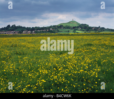 Glastonbury Tor von South Moor aus auf den Somerset Levels, Glastonbury, Somerset, England Stockfoto