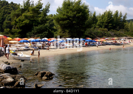 DER KLEINE MALERISCHE STRAND VON CHROUSOU AUF DER HALBINSEL KASSANDRA. CHALKIDIKI GRIECHENLAND. Stockfoto