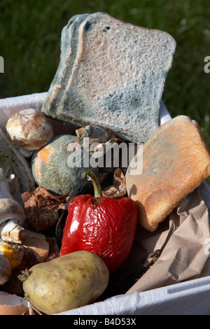 Fäulnis verschwendeten Lebensmittel von einem Haushalt in den Papierkorb im Vereinigten Königreich geworfen Stockfoto
