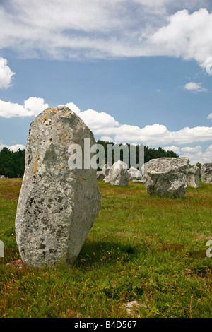 Juli 2008 - megalithischen Steinen Achsen de Kremario Carnac Morbihan Brittany France Stockfoto