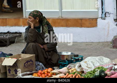 Alte Frau in Leh-Markt Stockfoto