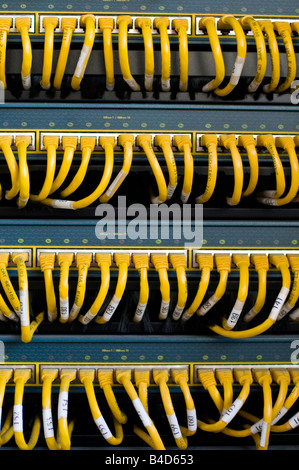 Gelben Ethernet-Kabel in einem Rack montiert Ethernet-switch Stockfoto