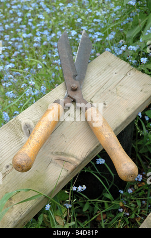 Vintage Gartenschere auf Bank Zuteilung Highbury London England UK Stockfoto