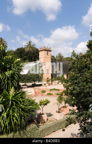 Gewächshaus im Botanischen Garten oder botanischen Jardi in Valencia, Spanien Stockfoto