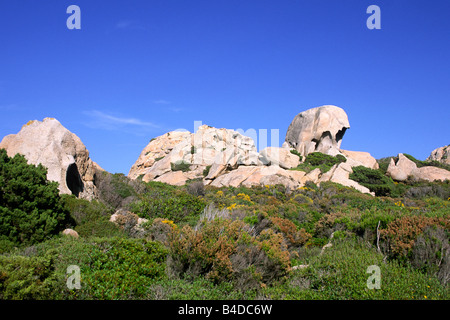 Italien, Sardinien, Nationalpark La Maddalena Archipel, Insel La Maddalena Stockfoto