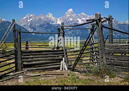 Koppel-Zaun mit Grand Teton Stockfoto