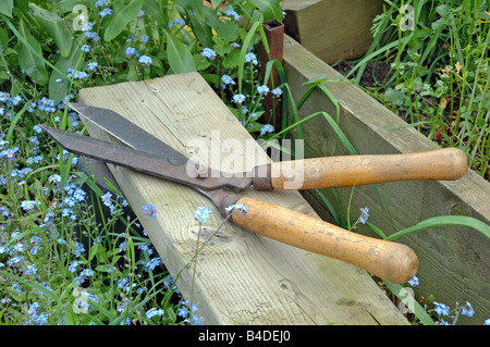 Vintage Gartenschere auf Bank Zuteilung Highbury London England UK Stockfoto