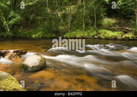 Auf dem Fluß Teign Stromschnellen. Stockfoto