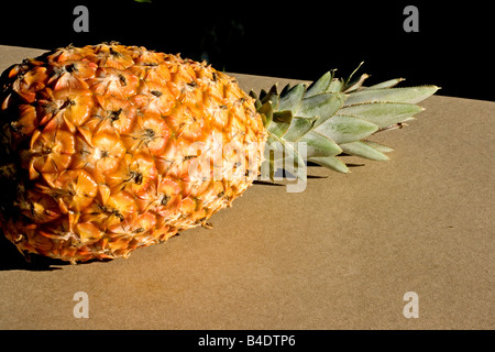 Reifer Ananas hautnah Stockfoto