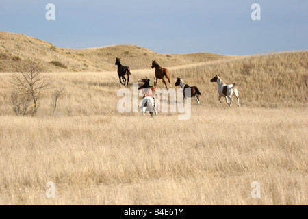 Ein Indianer Lakota Indianer Reiten jagen Reiten durch die Prärie von South Dakota Stockfoto