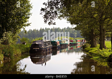 Kanalboote vertäut am Brecon Canal Monmouth Wales UK Stockfoto
