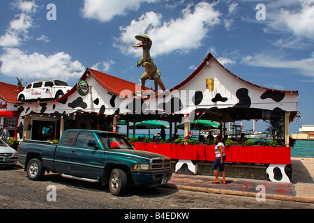 West Indies Aruba Oranjestadt Bar Cafe The Paddock Dino auf dem Dach Stockfoto