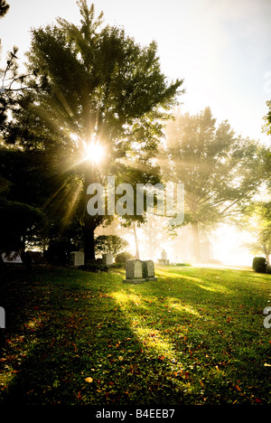 Eine helle Sunburst Morgennebel durchbricht und glänzt durch Bäume am West View Cemetery in Pittsburgh, Pennsylvania Stockfoto