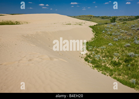 Sanddünen im Great Sand Hills, in der Nähe von Zepter, Saskatchewan, Kanada. Stockfoto