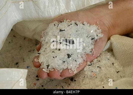 Gewaschene Flocke aus recycelten Plastikflaschen, die Wiederaufbereitung in Erwartung Stockfoto