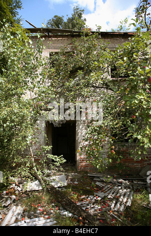 Eine verlassene Wohnblock in der radioaktiven Sperrzone in der Nähe von Gomel, Weißrussland Stockfoto