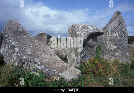 Menhir Alignements de Kerzerho in der Nähe von Carnac Brittany France Stockfoto