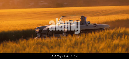 Auto, 90 Jahre Alfa Romeo, Landschaft, Natur, Sommer, Sonnenuntergang, Oldtimer Auto, 1960er Jahre, sechziger Jahre, 2600 Spider Touring 1963, Cabrio Stockfoto