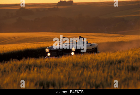 Auto, 90 Jahre Alfa Romeo, Landschaft, Natur, Sommer, Sonnenuntergang, Oldtimer Auto, 1960er Jahre, sechziger Jahre, 2600 Spider Touring 1963, Cabrio Stockfoto